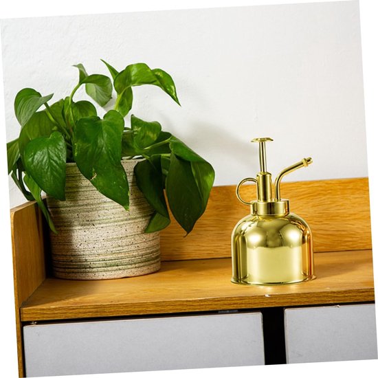1 Vintage Watering Can met Roestvrijstalen Plant Spray Bottle voor Succulenten Unieke Milieuvriendelijke Gieter voor Keuken Badkamer