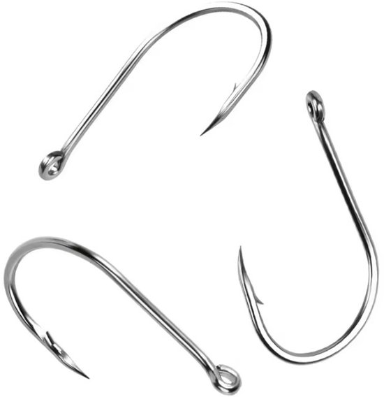 10 Stuks - Karperhaak met oog maat 4 - karper - karperhaken - haken - haak - vissen - vishaak van Benmaxx