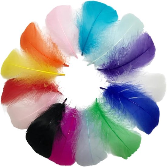 200 stuks Plumes de Couleur, Plume Décoration, Plumes Loisirs Creatifs, Plume d'oie Naturelle, voor DIY Dreamcatcher, Noël, Anniversaire, Fete de Mariage, Décoration d'Intérieur