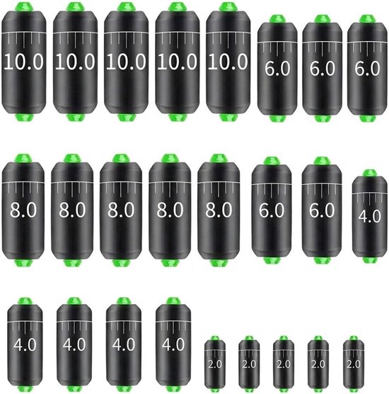 25 Stuks Geperforeerd Vislood voor Zeevissen en Karpervissen - Ideaal voor Surfcasting en Vissen met Schaal (2 g, 4 g, 6 g, 8 g, 10 g)