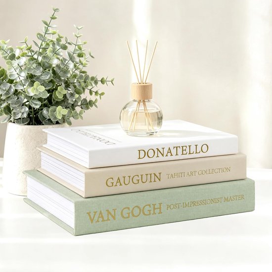 3 stuks decoratieve boeken, linnen, decoratieve boeken met magneetsluiting, vintage kunst, decoratie, boek, opbergdoos, boeken, decoratie, boekendoos voor woonkamer, kantoor, salontafel, rek