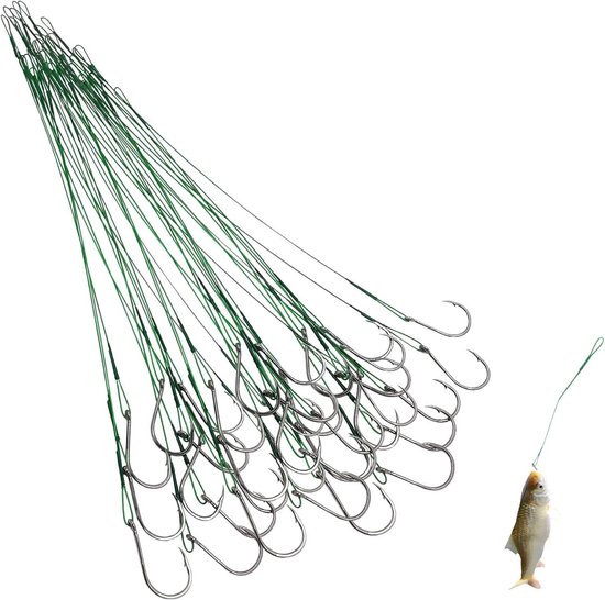40 Stuks Vishaken met Weerhaak en Oog - Verschillende Soorten Vis - Zee, Meer, en Rivier - Platte Haak 25 cm van Insportline