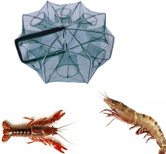 6 Holes Elk Traps for Bait Fishing, Fishing Net with Folding Throwing Net, Crawfish Trap for Catching - ShopVlot
