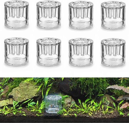 8 stuks, 30 x 32 mm, slakkenval, aquarium, 8 gaten, transparant, voor het vangen van planaria's, slakken, bloedvallen in het aquarium