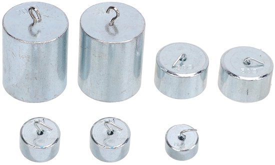 aladdien - 7 Stuks Haak Gewicht Set - Laboratorium Gewichten - Hoge nauwkeurigheid - Chroomstalen Haak Gewichten - Geschikt voor Onderwijs - 10g 20g... van Merkloos