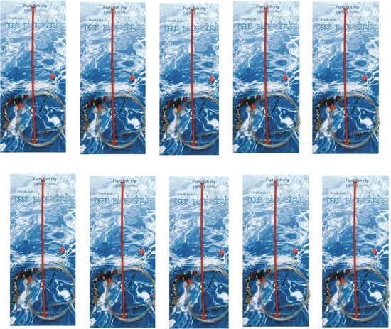 Albatros - Paternosters - 10 stuks - Met afhouder en wapperlijn - zee onderlijn - haakmaat 2 van Albatros