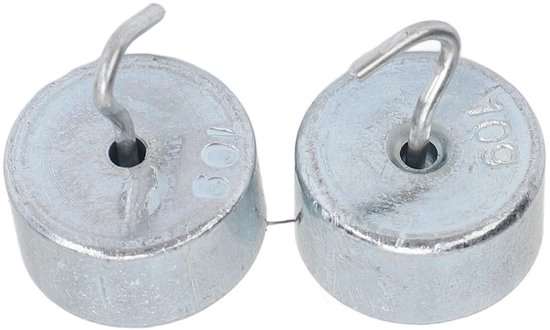 Allecto - Haak Gewichten Set - 10g Gewichten voor Fysica Onderwijs - Chrome Plated Staal - Gewichten voor Experimenten - Geschikt voor Studenten - .. van Merkloos