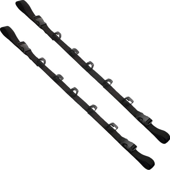 Allecto- In-Car Hengel Rack - Vissersvoertuig - Auto Hengel Strap - SUV Wagons - Vans - 2 stks In-Car Hengel Rack Vissersvoertuig Hengel Auto Hengel Strap voor SUV Wagons Vans. van Merkloos