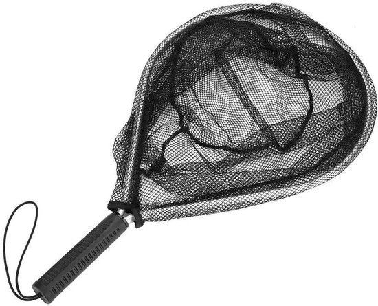 Allecto - Viskarper net - Vissen - Opvouwbaar - RVS - Visnet - Geschikt voor vissen - Zilver - Fishing Landing Net Vouwen RVS Viskarper Landing Net voor Visliefhebbers van Merkloos