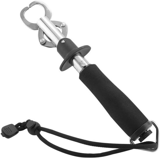 Allecto - Vistent Benodigdheden - Vissen - 27 cm - Opbergtas - Grip - Roestvrij staal - Voor grote vissen - Zwart van Merkloos