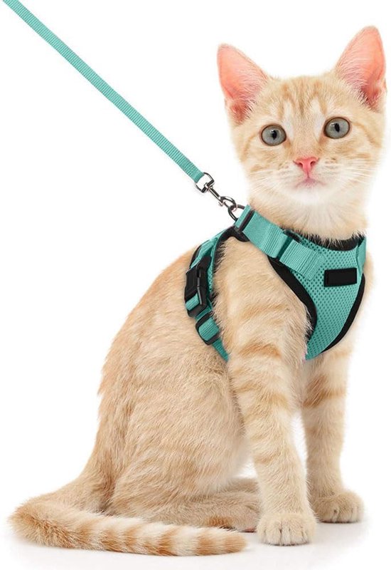 Arnes Kattentuigje, verstelbaar, met 150 cm riem, veiligheidsgordel voor kleine, middelgrote en grote volwassen katten, puppy's, kattenharnas voor wandelingen en reizen (S, zeeblauw)