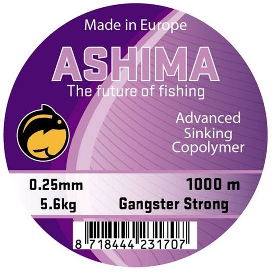 Ashima Gangster Strong Sinking | 1000m 0.375mm / 11kg Clear van Ashima