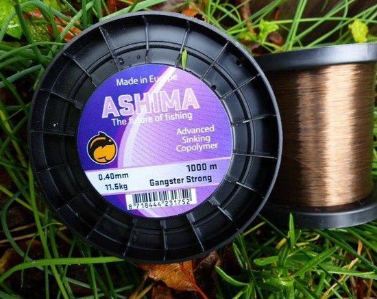 Ashima Gangster Strong Sinking | 1000m 0.40mm / 11.5kg Clear van Ashima