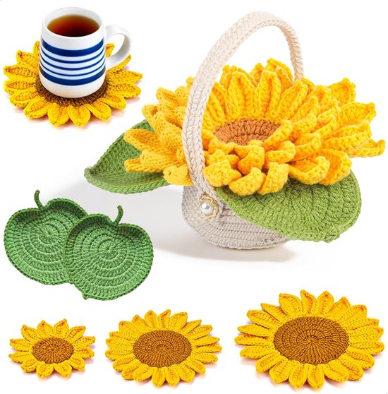 Beginner Haakset met Instructies, Handgemaakte Haakmaterialen voor Potplanten, Coasters en DIY Projecten, Geschikt voor Cadeaus en Binnengebruik