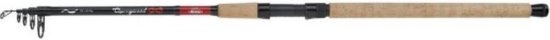 Berkley Cherrywood Spezi Eel Telescopische Hengel | 2.70m | 30-60g