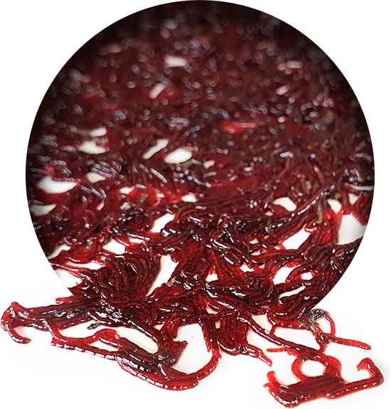 Bloodworm Vers | Rode Muggenlarven | Natuurlijk Aas | Karpervissen | Karper Aas | Karper Vissen | Karper Voer | Karper van Merkloos