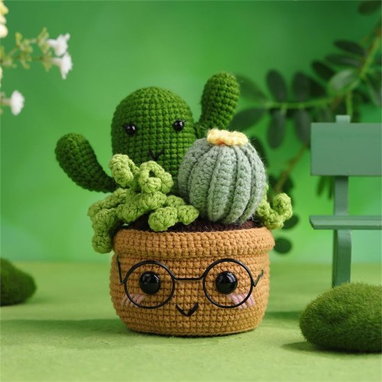 Cactus Haakset voor Beginners en Gevorderden, Creatieve DIY Accessoires met Video Tutorial, Perfect Cadeau voor Hobbyisten en Ambachtslieden