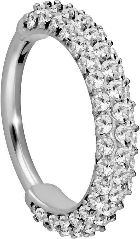Chirurgisch staal segmentring clicker kristal rand piercing ring oor helix tragus neus septum kleur & grootte naar keuze