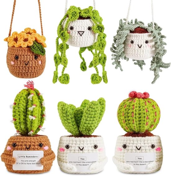 Complete Haakset voor Beginners - 6-delige Cactus Haaknaalden, Wol, Vulmateriaal, Handnaald, Steekmarkeerders en Handleiding voor Creatieve DIY Projecten