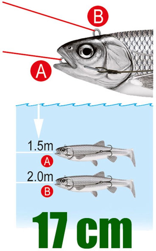 Cormoran Plowman Shad Rainbow Trout 23cm Kunstas van Merkloos