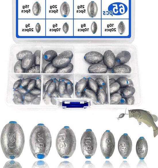 Cosensi - Set van 65 vislood in verschillende gewichten met opbergdoos voor zeevissen, diepwatervissen en zoetwatervissen - 3 g/5 g/8 g/10 g/15 g/20 g/25 g van Merkloos
