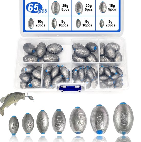 Cosensi - Vissen Gewichten - 65pcs Vissen Lood - Perfect voor Zee- en Zoetwatervissen - Inclusief Opbergdoos - Diverse Gewichten - Hoogwaardige Kwa... van Merkloos