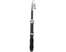 Dailygoods - Dailygoody - Kleine hengels - Zeevissen - Telescopisch en lichtgewicht - 1,2 meter - Perfect voor volwassenen - Buitenshuis vissen - Ideaal voor perch