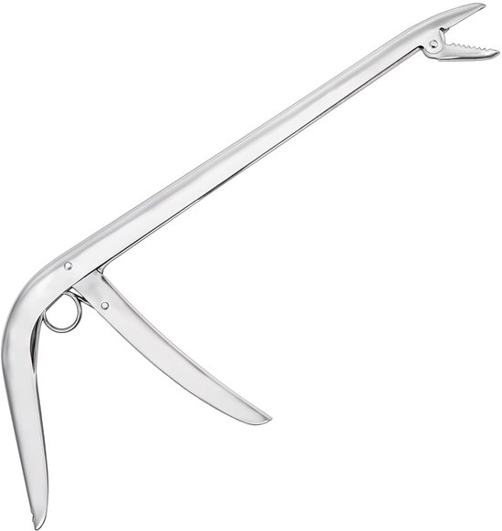 Dailygoods - Vistuig Haak Verwijder Tool - 28cm Vis Tang voor Zoet- en Zoutwater Vissen