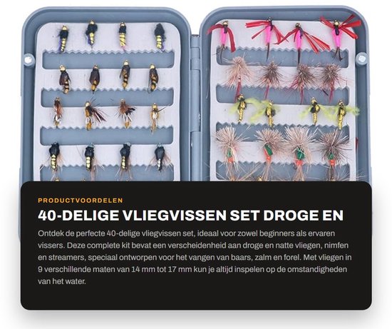 Dailygoods- Vliegvissen Set 40-delig - Droge/Natte Vliegen - Nimfen/Streamers - Voor Baars/Zalm/Forel - Herbruikbare Opbergdoos