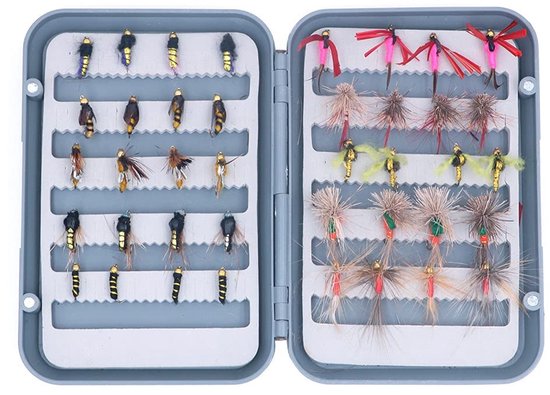 Dailygoody - 40-delige Vliegvissen Set - Droge en Natte Vliegen - Compacte Doos - Geschikt voor Baars Zalm en Forel - Inclusief Nimfen en Streamers