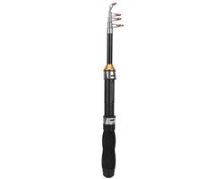 Dailygoody - Solidchoice - Dailygoody - Hengel - Visgereedschap - Compact en draagbaar - 1M - Mini-zeestok - Ideaal voor onderweg - Geschikt voor zeevissen