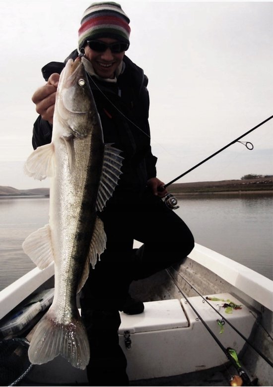 Daiwa Duckfin Shad 9cm - Zwarte Gumy Wędkarskie van Merkloos