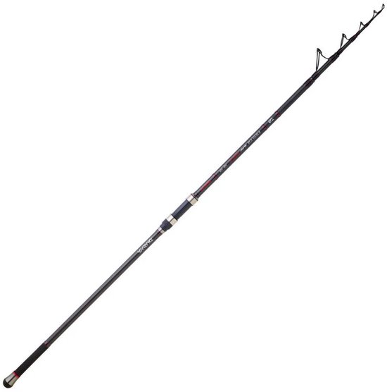 Daiwa Emblem Type R Telescopische Surfcasting Hengel Zilver 4.20 m / 200 g