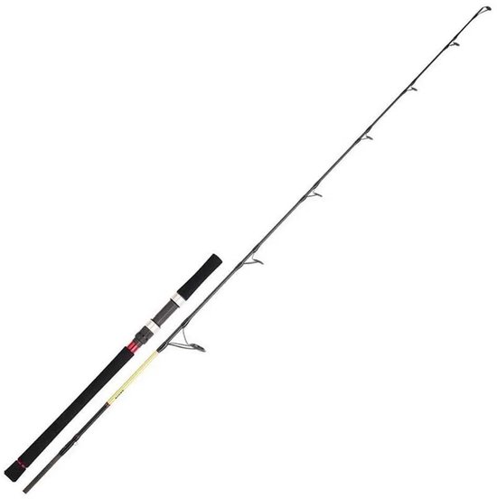 Daiwa Grandwave Casting Os Jigging Hengel Zilver 1.68 m / 100-300 g