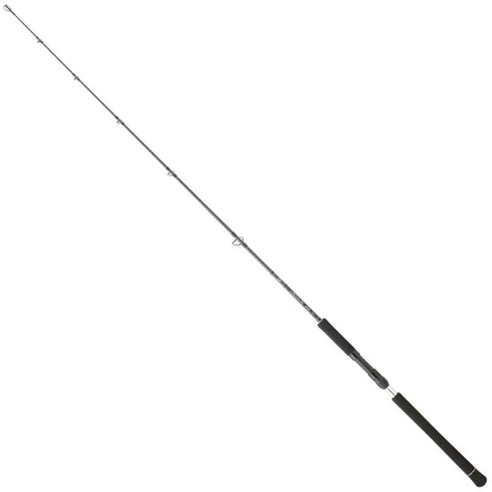 Daiwa Legalis Jigging Hengel Zilver 1.91 m / 120 g
