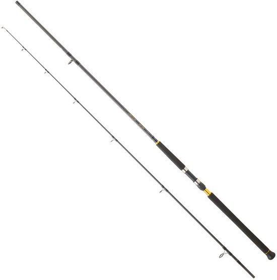 Daiwa Legalis Shore Jigging Hengel Zilver 3.20 m / 60-120 g