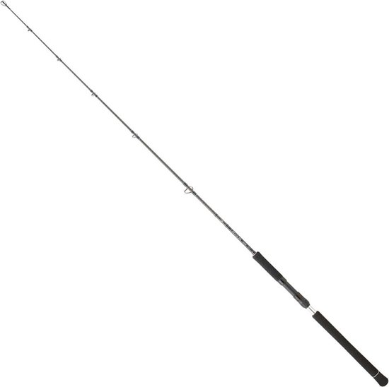 Daiwa Legalis Vertical Jigging Hengel Zilver 1.91 m / 20-80 g