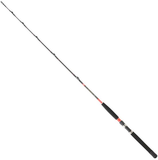 Daiwa Megaforce Ar Trollinghengel Zilver 1.70 m / 50-80 Lbs