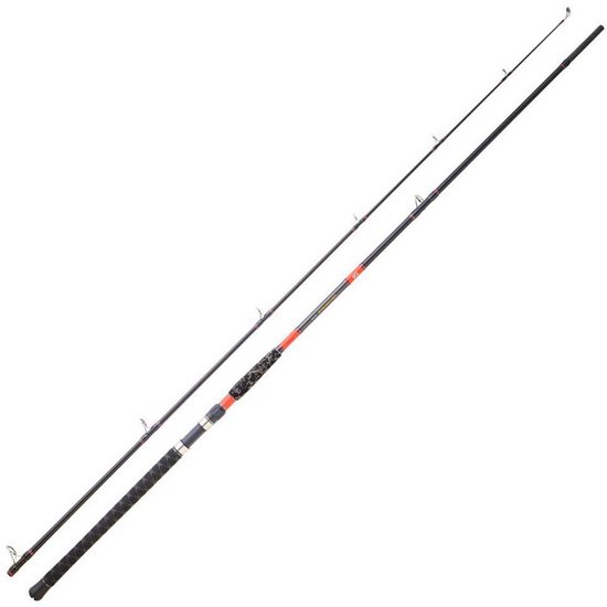 Daiwa Megaforce Big Fish Meervalhengel Zilver 2.90 m / 100-300 g