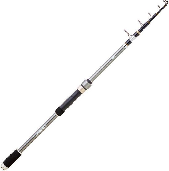 Daiwa Megaforce Buscle Tele Bodemvissen Hengel Zilver 2.40 m / 20-80 g