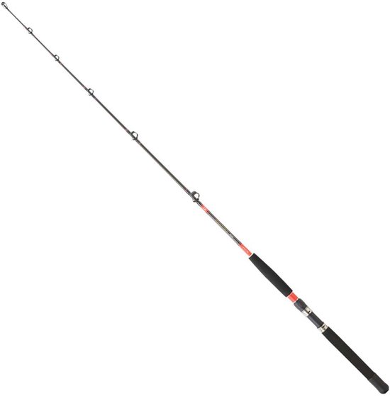 Daiwa Megaforce Trollinghengel Zilver 1.70 m / 30-50 Lbs