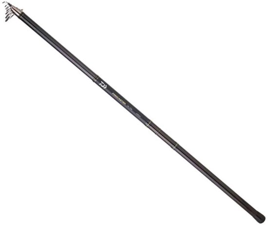 Daiwa Procaster Big Pike Bolognese Hengel Zilver 5.00 m van Daiwa