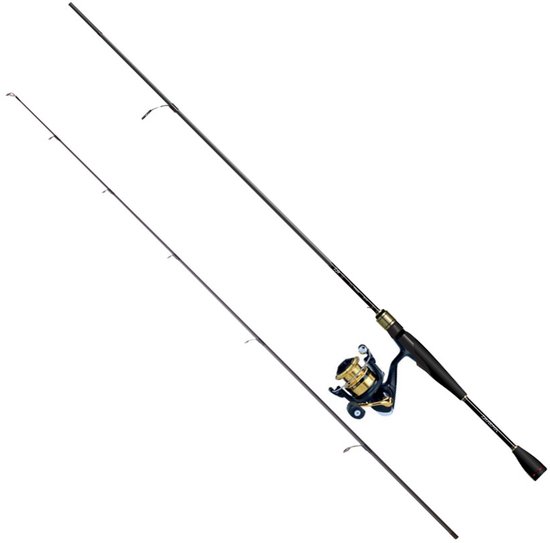 Daiwa Rs762mhfsaf+rs2500 Draaiende Combo Goud 2.29 m / 7-28 g van Merkloos