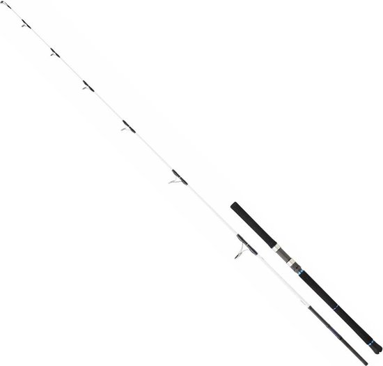 Daiwa Saltist Off Shore Spinhengel Wit 2.29 m / 50-130 g van Daiwa