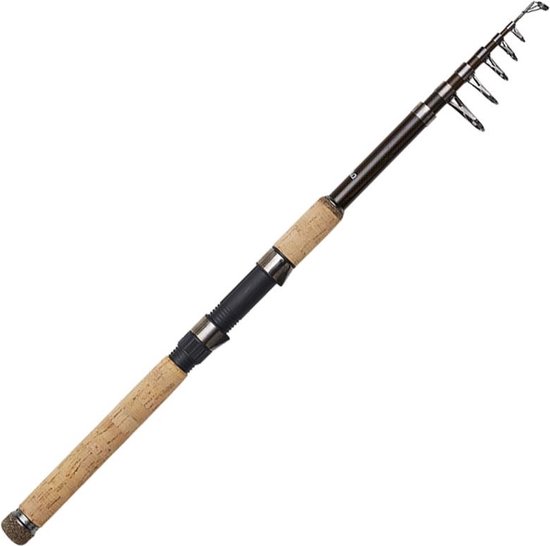 Dam Backbone Ii Tele 80 Karperhengel Goud 3.00 m / 30-80 g van Merkloos
