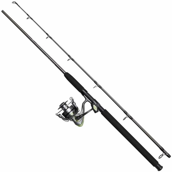 Dam Full Cat Draaiende Combo Zilver 2.40 m / 40-150 g van DAM