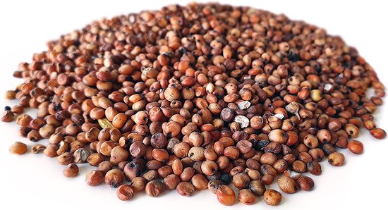 Dari Rood 20KG | Karpervissen | Partikels | Karper Aas | Karper Vissen | Karper Voer | Karper