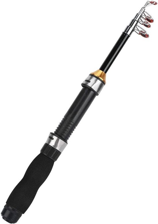 Draagbare Mini Telescopische Hengel voor Zee- en Zoetwatervissen - Ideaal voor IJsvisserij en Reisgebruik (1m) van Merkloos