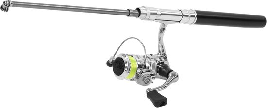 Draagbare Mini Visspullen Set met Penhengel en Rolle voor Zee-, Rivier- en Rotsvissen