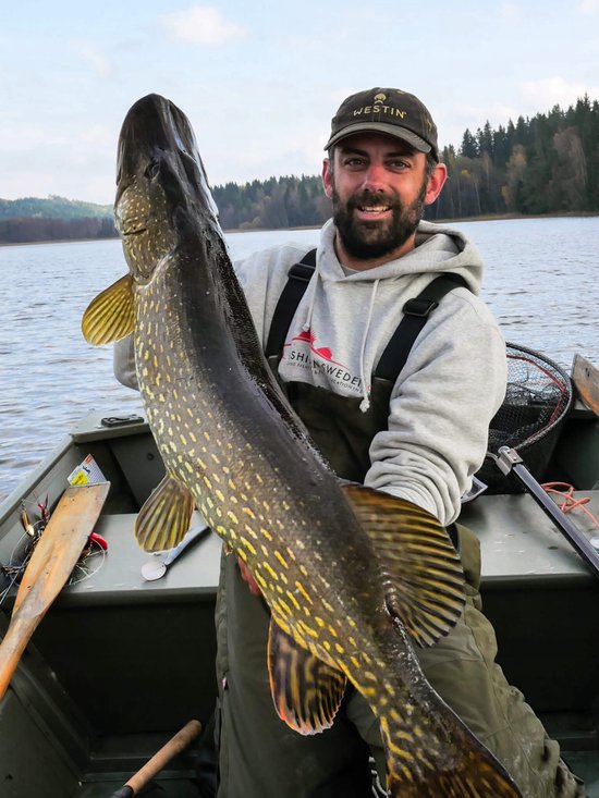 Dragon Dozbrojka Surfstrand 6cm - 2 stuks, Maat 8 van Dragon